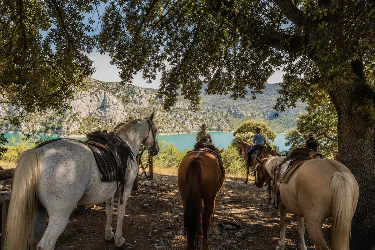 Groupe de cavaliers en pause à l&rsquo;ombre d&rsquo;un bosquet de chênes verts en Provence